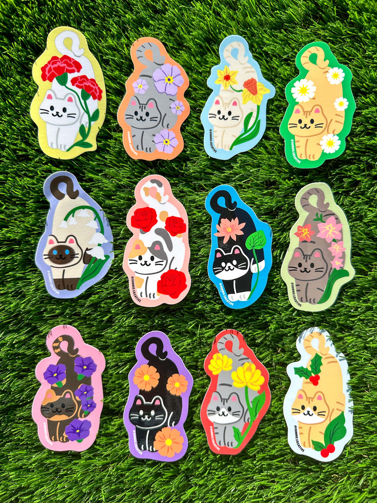 Cat Collection'24