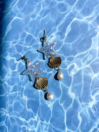 Summer Seashells